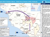 Ebola é fuori controllo in Guinea